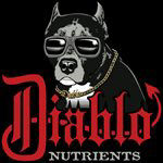 Diablo - Logo
