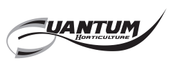 Quantum - Logo
